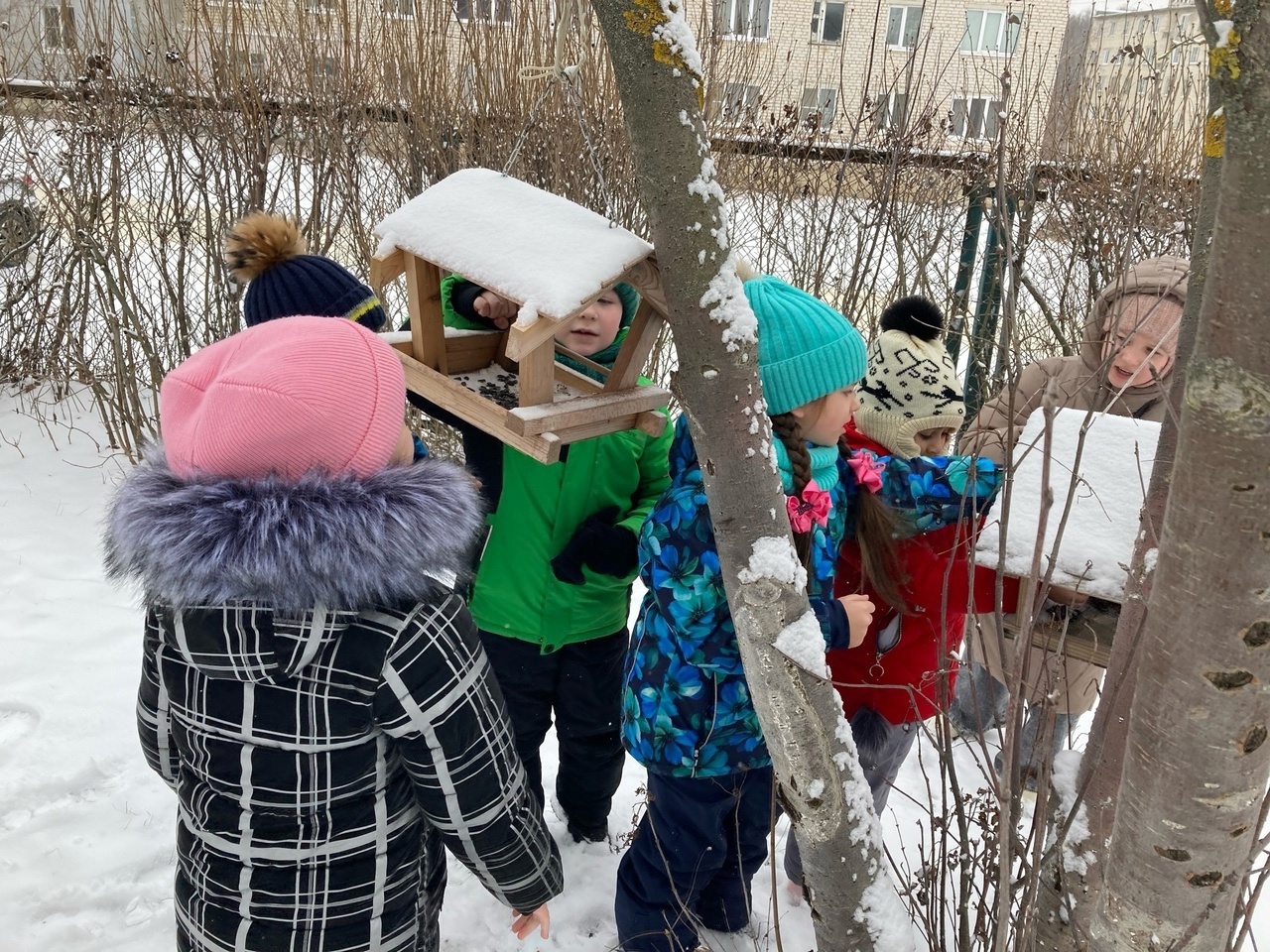 Покормите птиц зимой!.