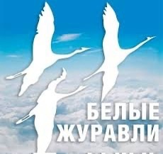 Акция &amp;quot;Журавли Победы&amp;quot;.