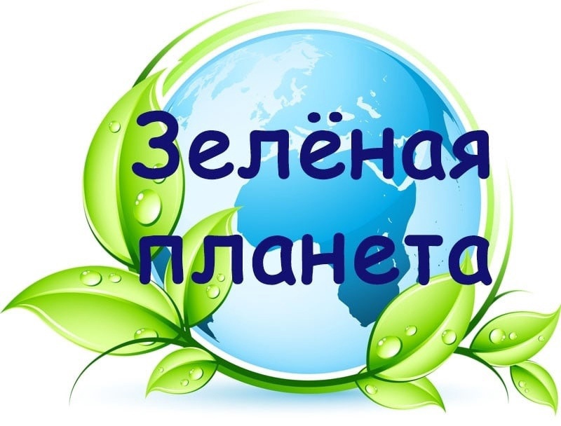 Итоги муниципального этапа Детского Экологического форума «Зелёная планета 2023».